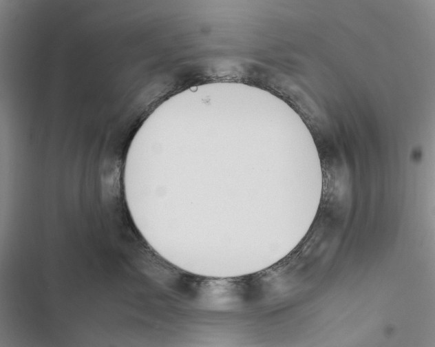 X0000116820717201001151205