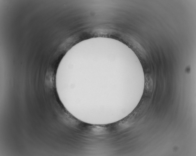 X0000116820718201001151205