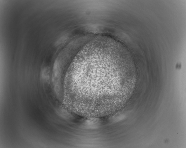 X0000116820720201001151205