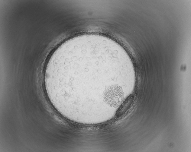 X0000116820721201001151204