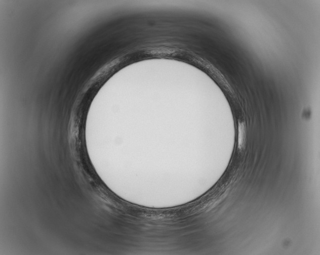 X0000116820723201001151204