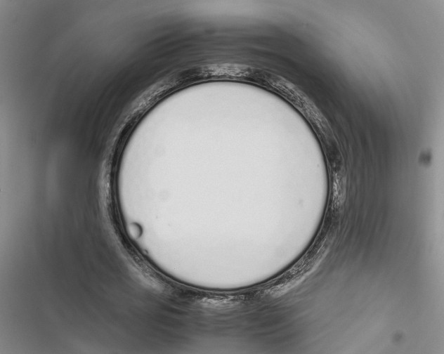 X0000116820725201001151204