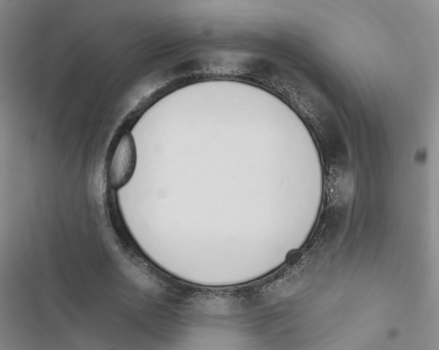 X0000116820726201001151204