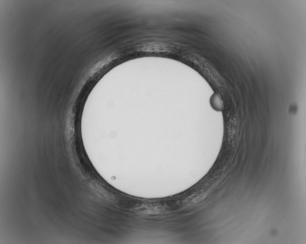 X0000116820727201001151204