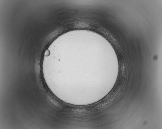 X0000116820729201001151204