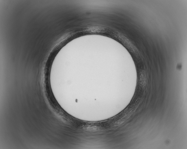 X0000116820730201001151204