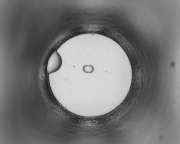 X0000116820731201001151204