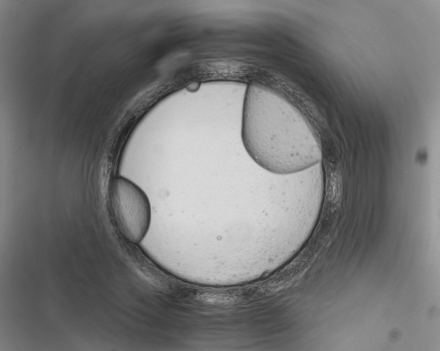 X0000116820733201001151204