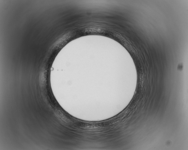 X0000116820735201001151204