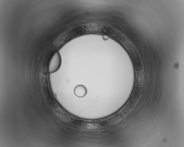 X0000116820737201001151204