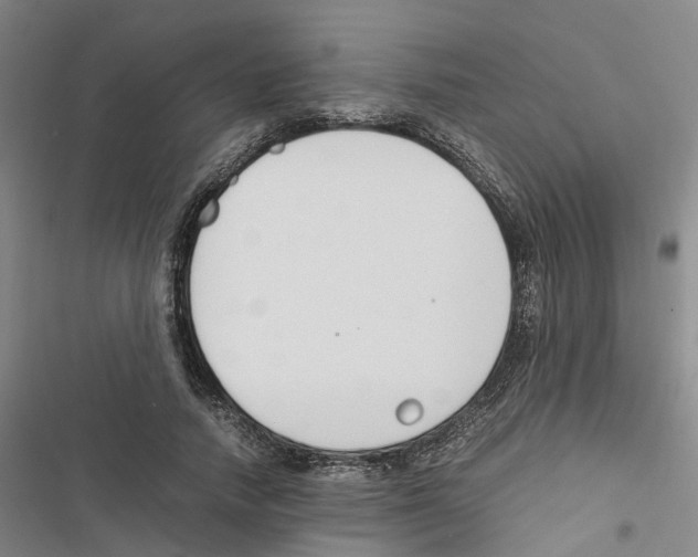 X0000116820738201001151204