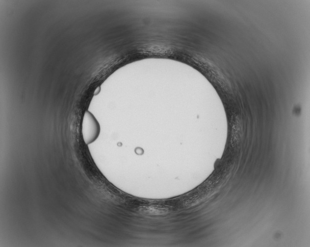 X0000116820739201001151204