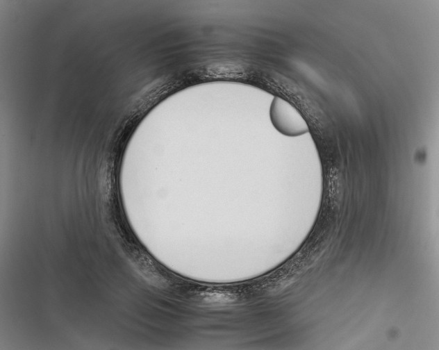 X0000116820741201001151204