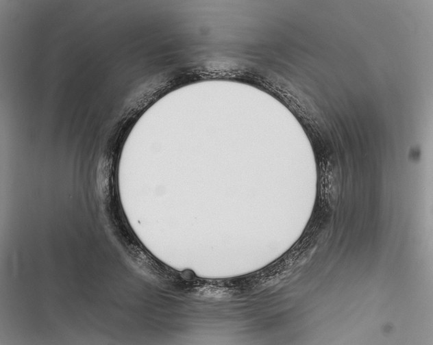 X0000116820742201001151204