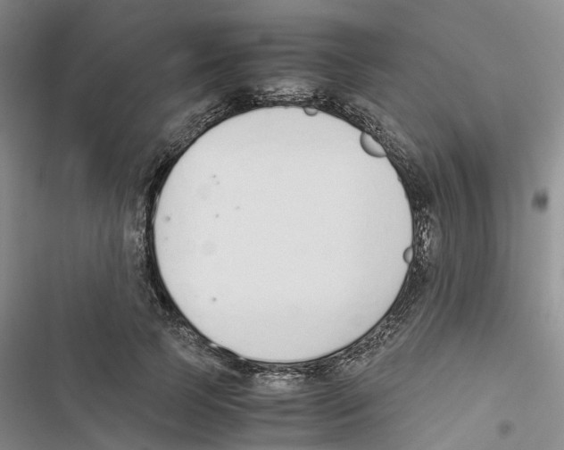 X0000116820745201001151204