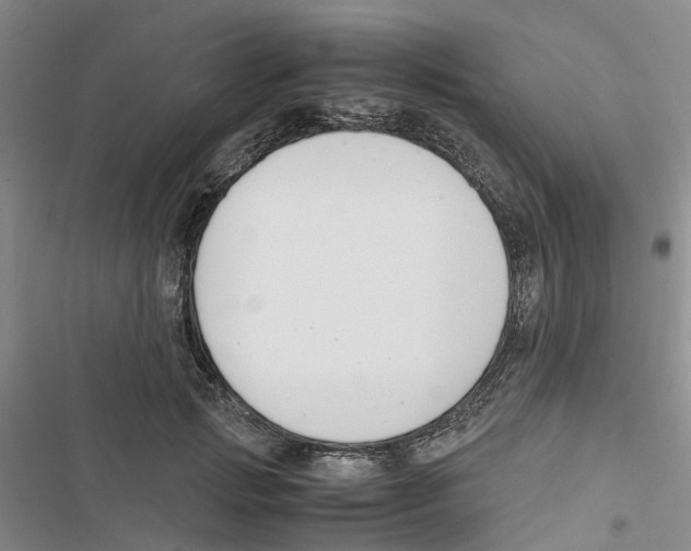 X0000116820749201001151205