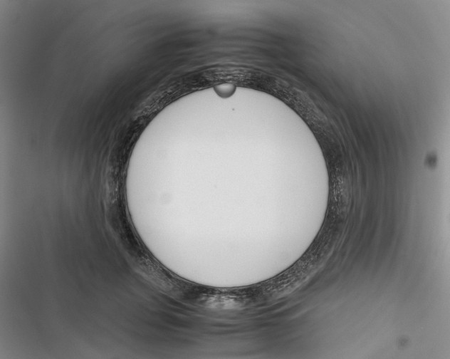 X0000116820751201001151205