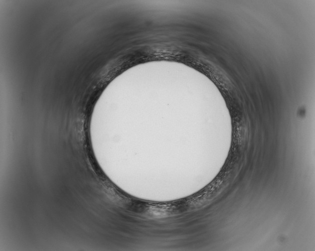 X0000116820757201001151205