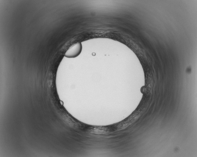 X0000116820758201001151205