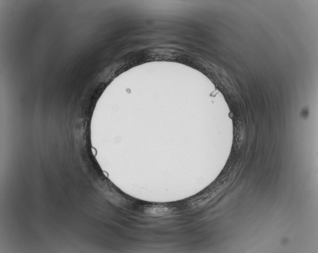 X0000116820759201001151205