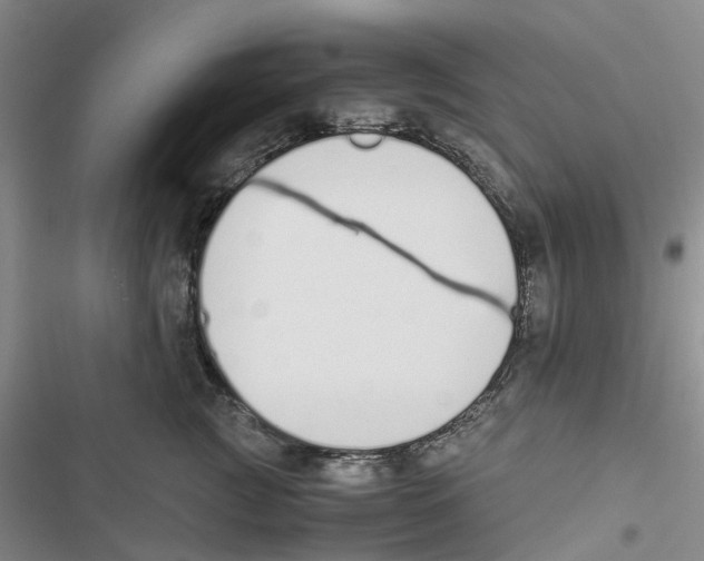 X0000116820761201001151205