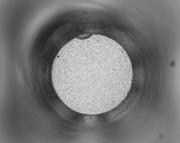 X0000116820762201001151205