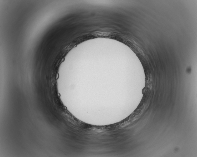 X0000116820763201001151205