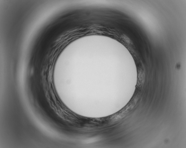 X0000116820765201001151205