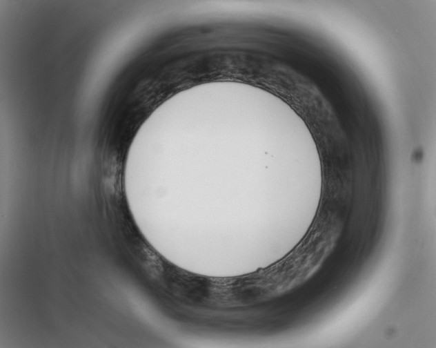 X0000116820766201001151205