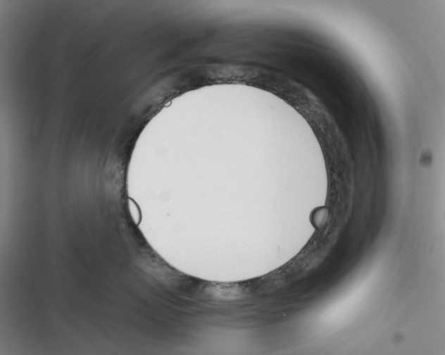 X0000116820767201001151205