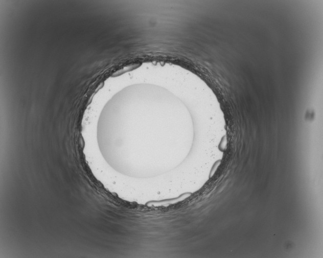 X0000116820769201001151204