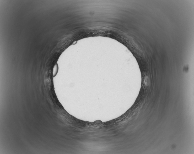 X0000116820771201001151204