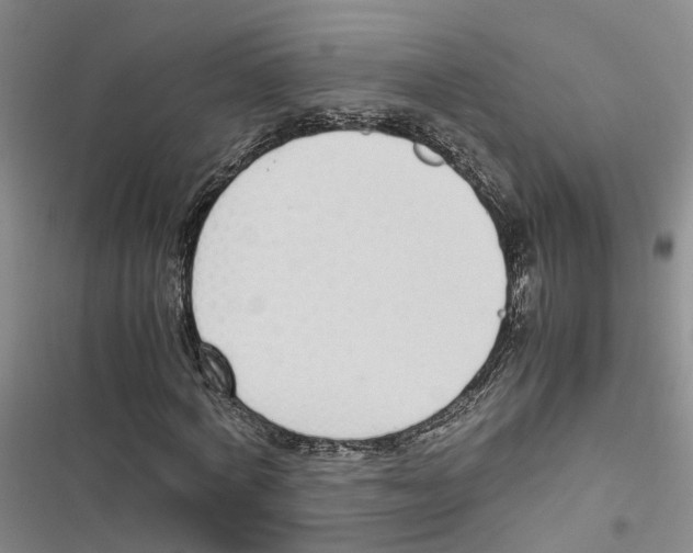 X0000116820772201001151204