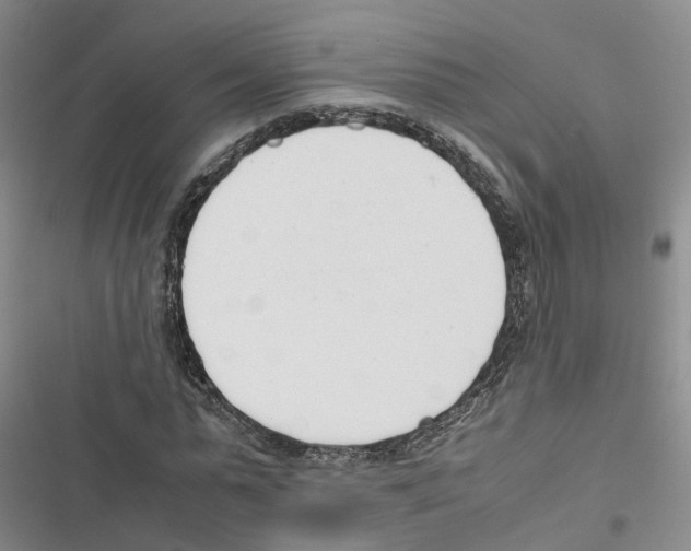 X0000116820775201001151204