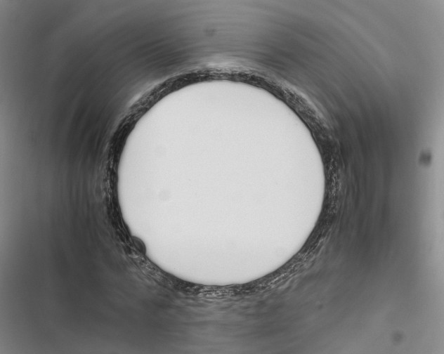 X0000116820776201001151204