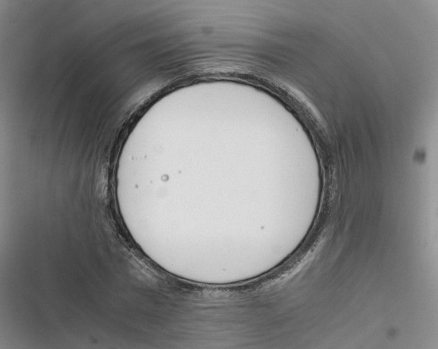 X0000116820777201001151204