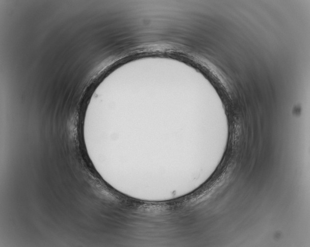 X0000116820778201001151204