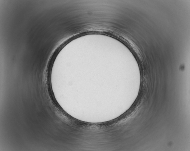 X0000116820779201001151204