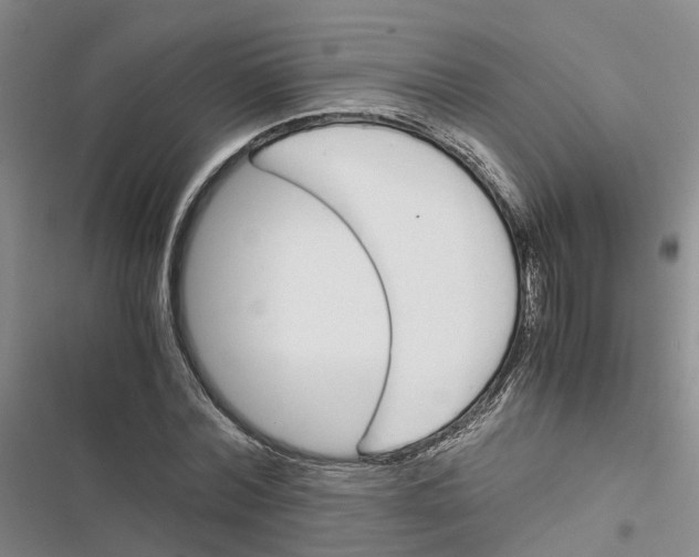 X0000116820780201001151204