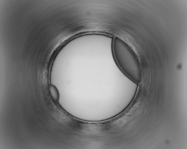 X0000116820781201001151204