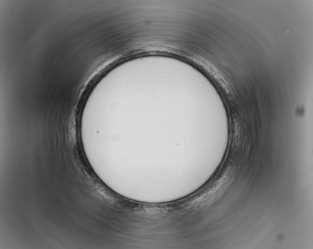 X0000116820782201001151204