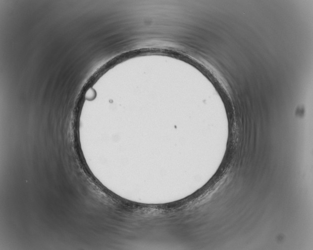 X0000116820783201001151204