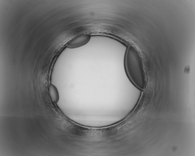 X0000116820785201001151204