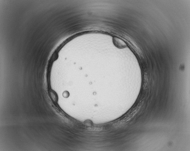 X0000116820788201001151204