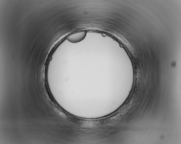 X0000116820790201001151204