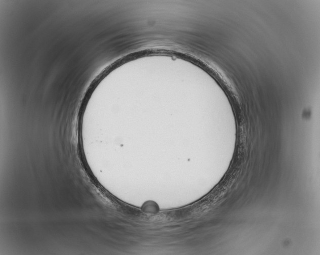 X0000116820791201001151204