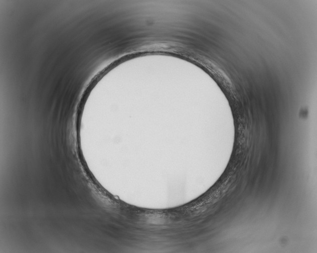 X0000116820792201001151204