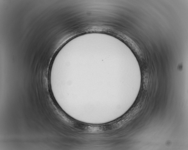 X0000116820794201001151204