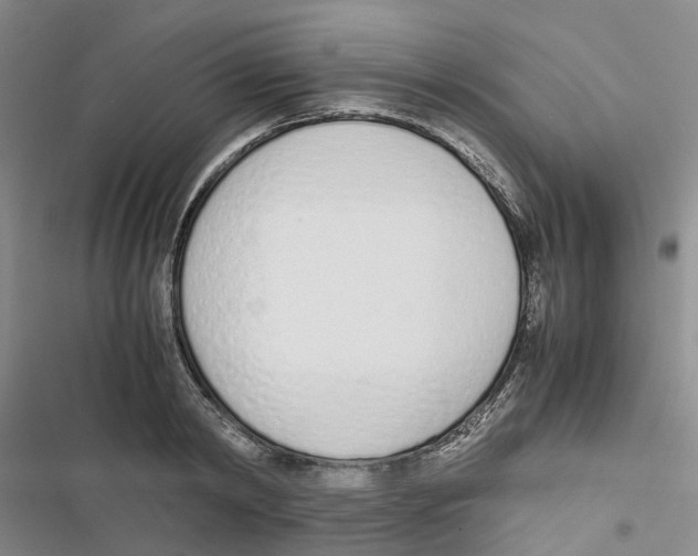 X0000116820798201001151204