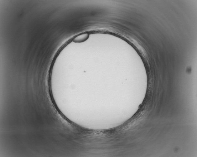 X0000116820799201001151204